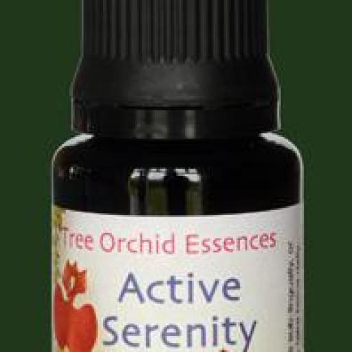 Active Serenity - Serenidad Activa [1]