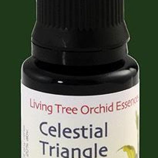 Celestial Triangle - Triángulo Celeste [1]