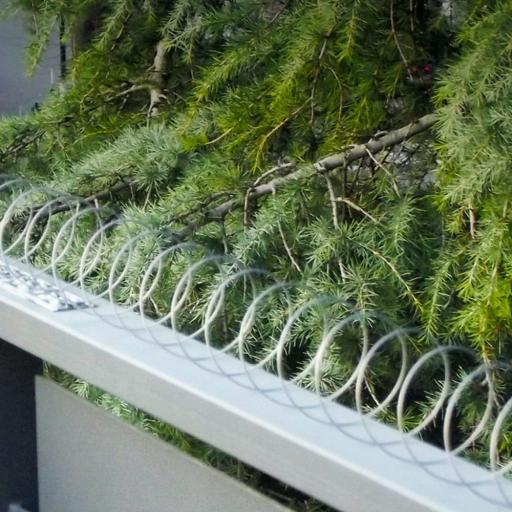 Disuasorio espiral para aves. ideal para balcones. acero inoxidable 5m [1]