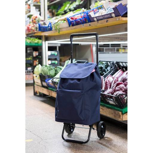 Carrito de la compra argo blue 45l gimi 169292 [2]