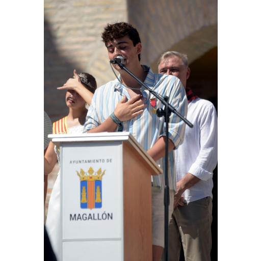 Bolso tela Fiestas de Magallon [1]
