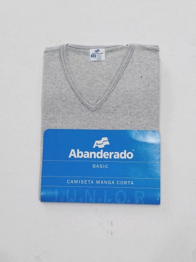 Abanderado Camiseta cuello pico Junior 0581.07.14 Gris