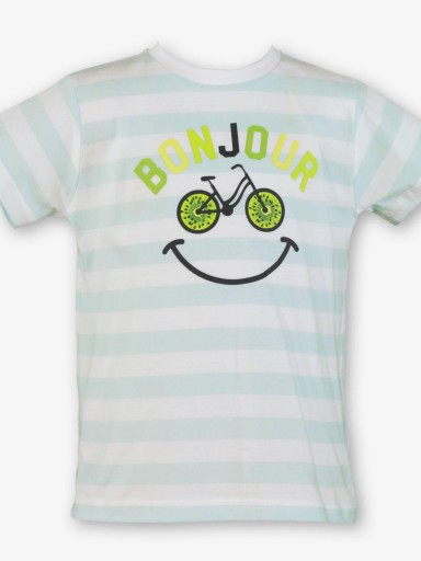 Miranda Conjunto Infantil Niño Camiseta m/c Rayas Bañador Estampado Kiwis "Escabiosa" 0813/2B [1]