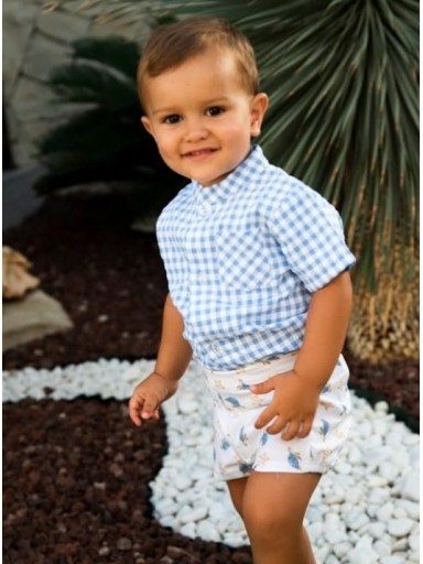 Daniesty Conjunto Niño Pantalon Estampado Tortugas Camisa Cuadro Vichy Azul Familia Australia 007 [0]